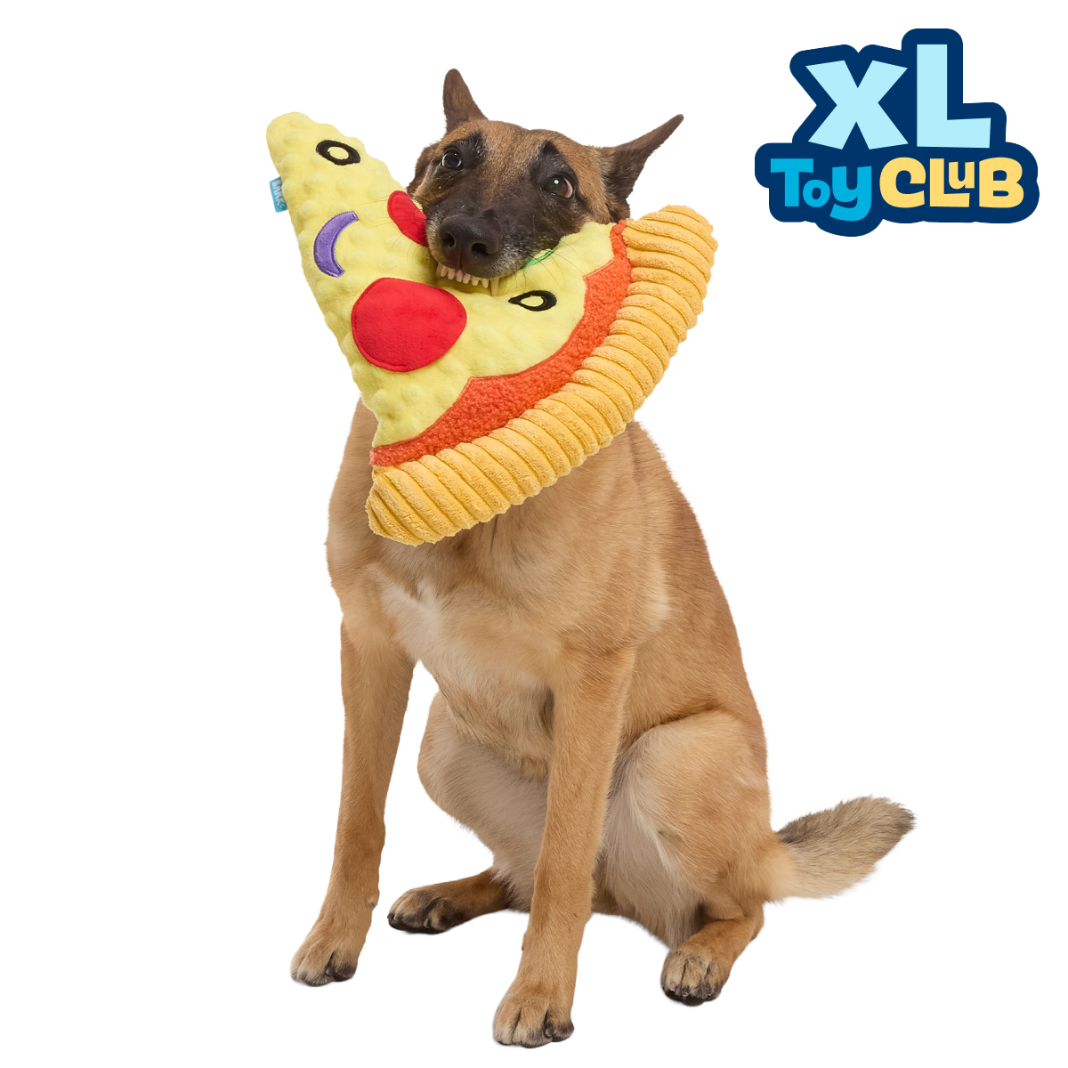 Extra-Large Toy Club, Monthly Plush XL Dog Toys