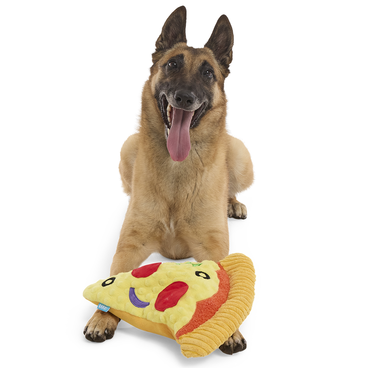 Extra-Large Toy Club, Monthly Plush XL Dog Toys