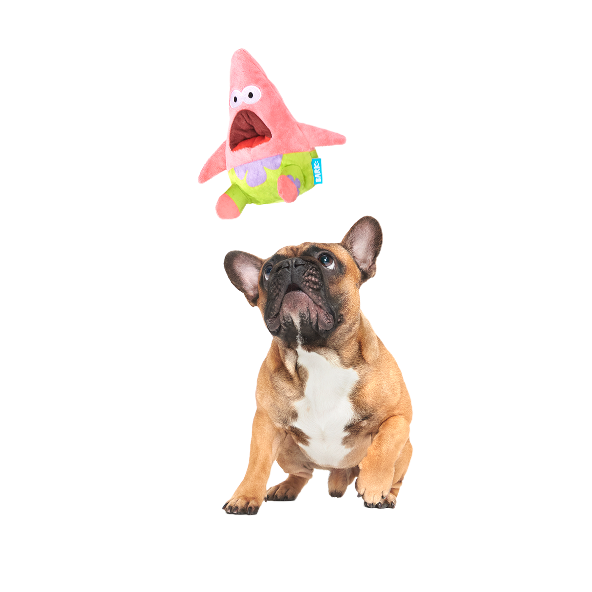 Surprised Patrick Plush Enrichment Dog Toy