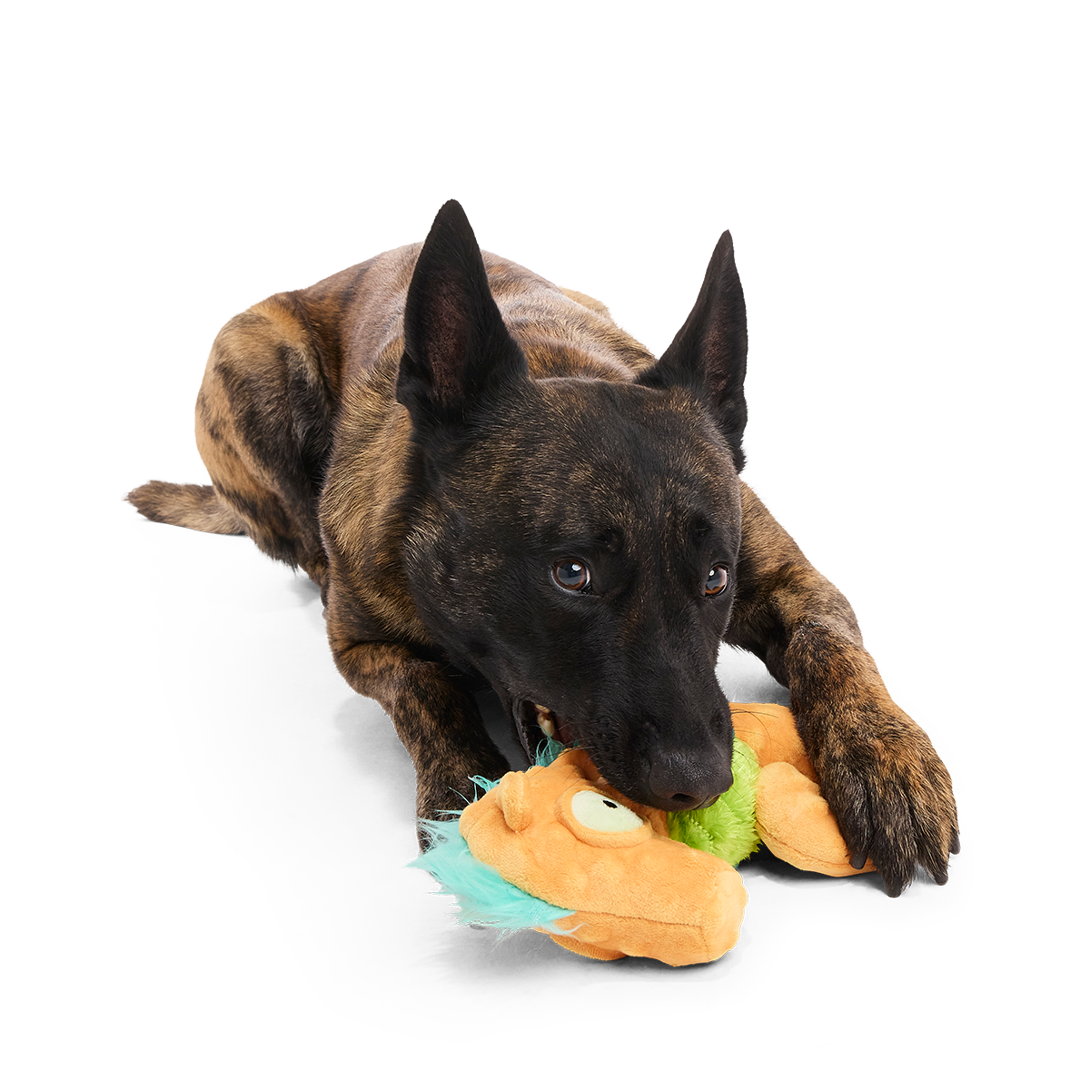 Swirlin Shirley the Seahorse Plush Tug Dog Toy