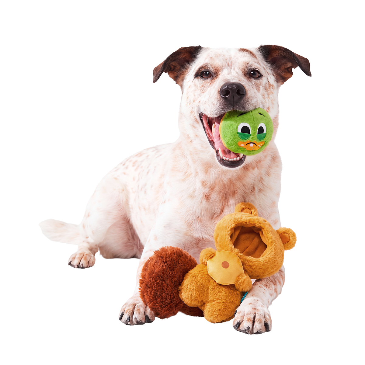 Switchy Squirrel Plush Multi-Part + Enrichment Dog Toy