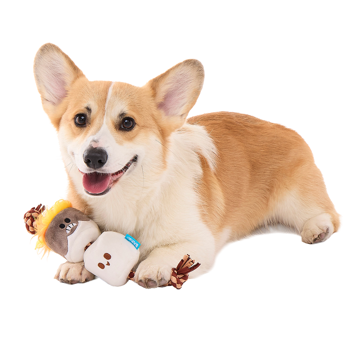 Tug Of S'more Plush Tug Dog Toy
