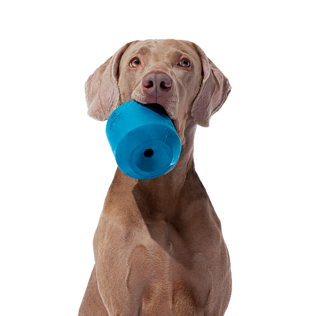 Tank Toy Super Chewer Durable Enrichment Dog Toy#Size_L