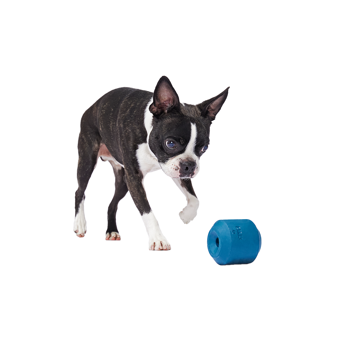Tank Toy Super Chewer Durable Enrichment Dog Toy#Size_S