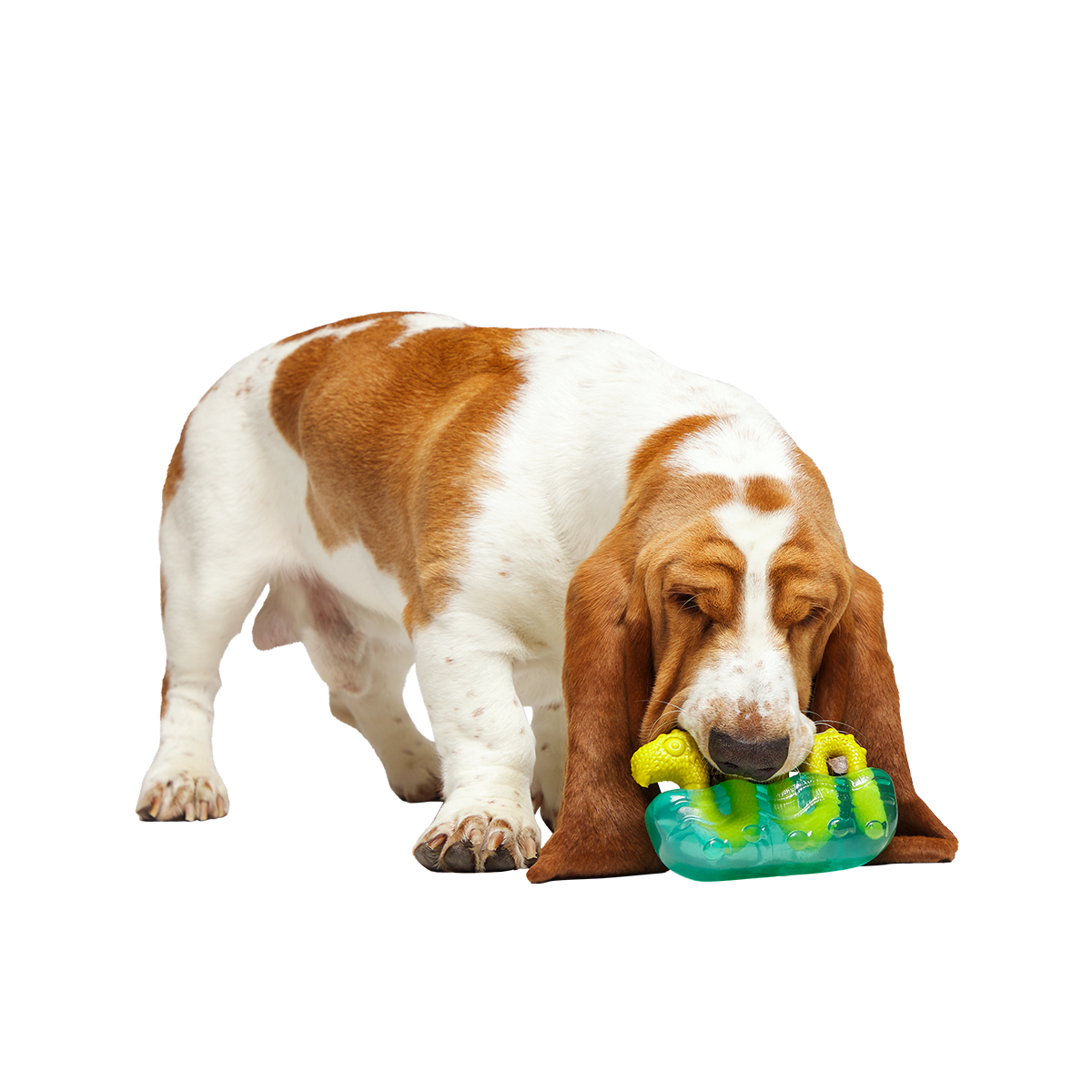 The Dogness Monster Super Chewer Durable Gnaw Dog Toy