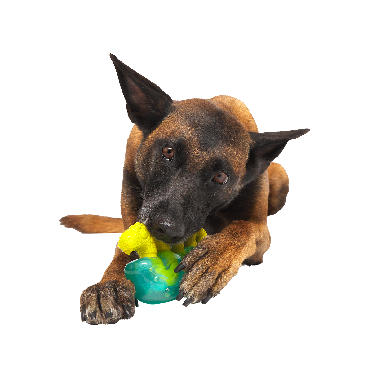 The Dogness Monster Super Chewer Durable Gnaw Dog Toy