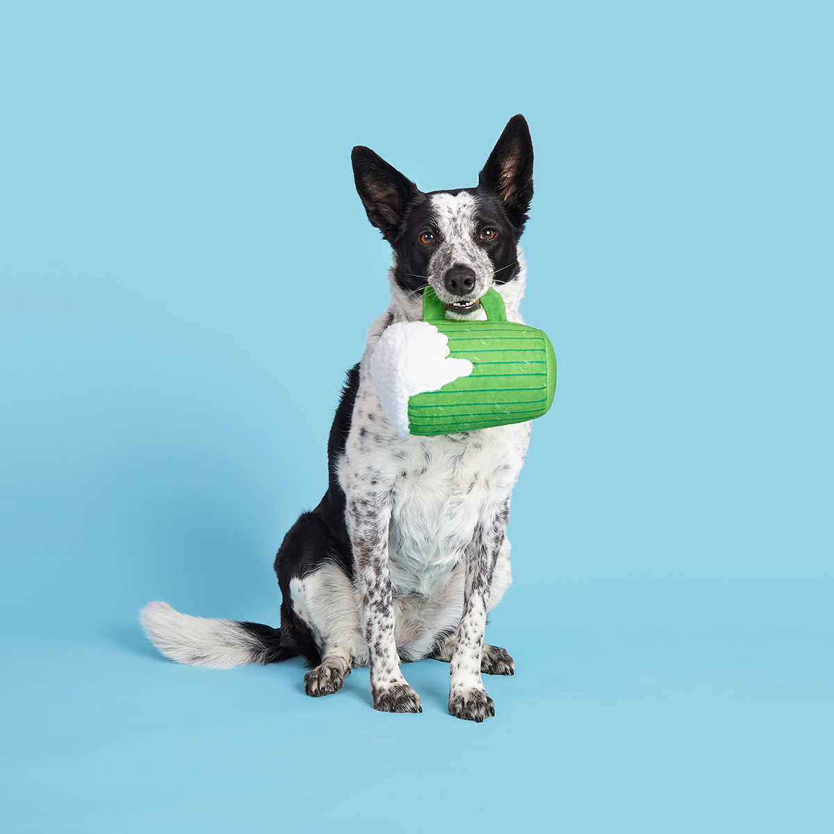 The Glass Is Greener Plush Tug Dog Toy