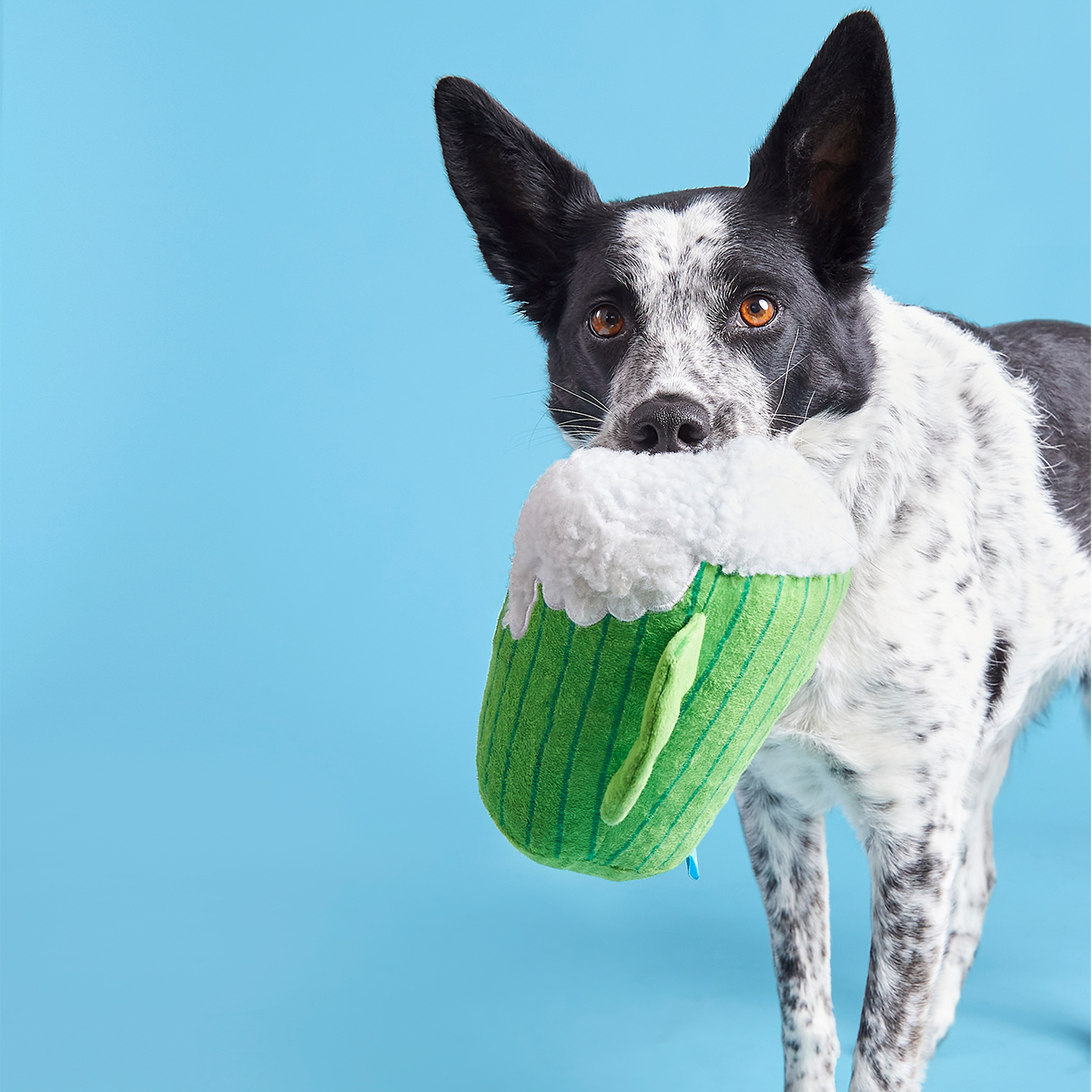 The Glass Is Greener Plush Tug Dog Toy