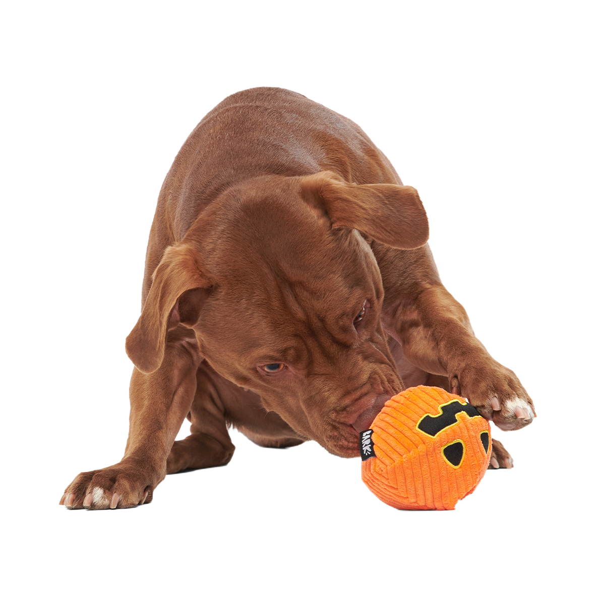 The Grrreat Pumpkin Super Chewer Durable 2-in-1 + Enrichment Dog Toy