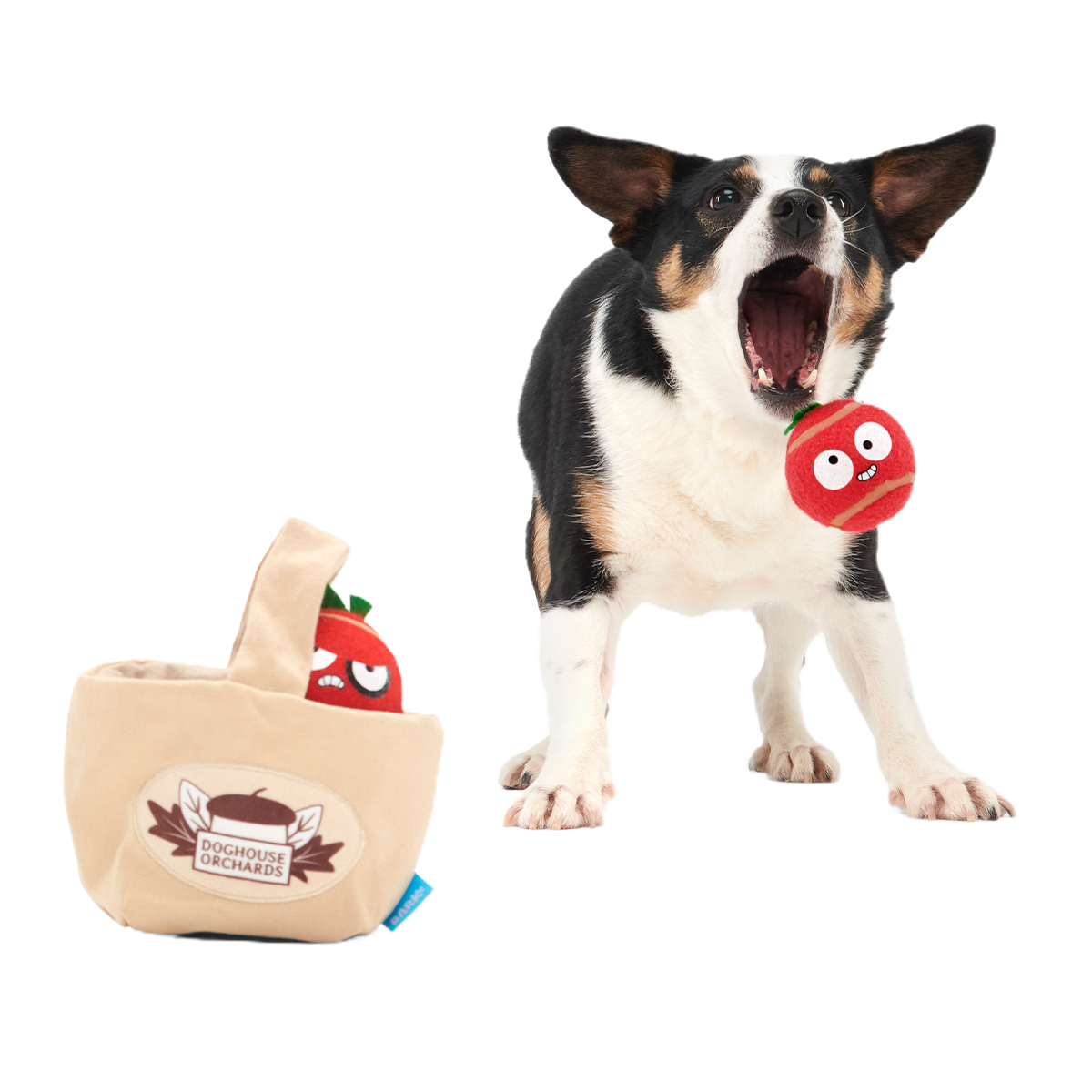 The Munch Bunch Plush Multi-Part + Enrichment + Fetch Dog Toy