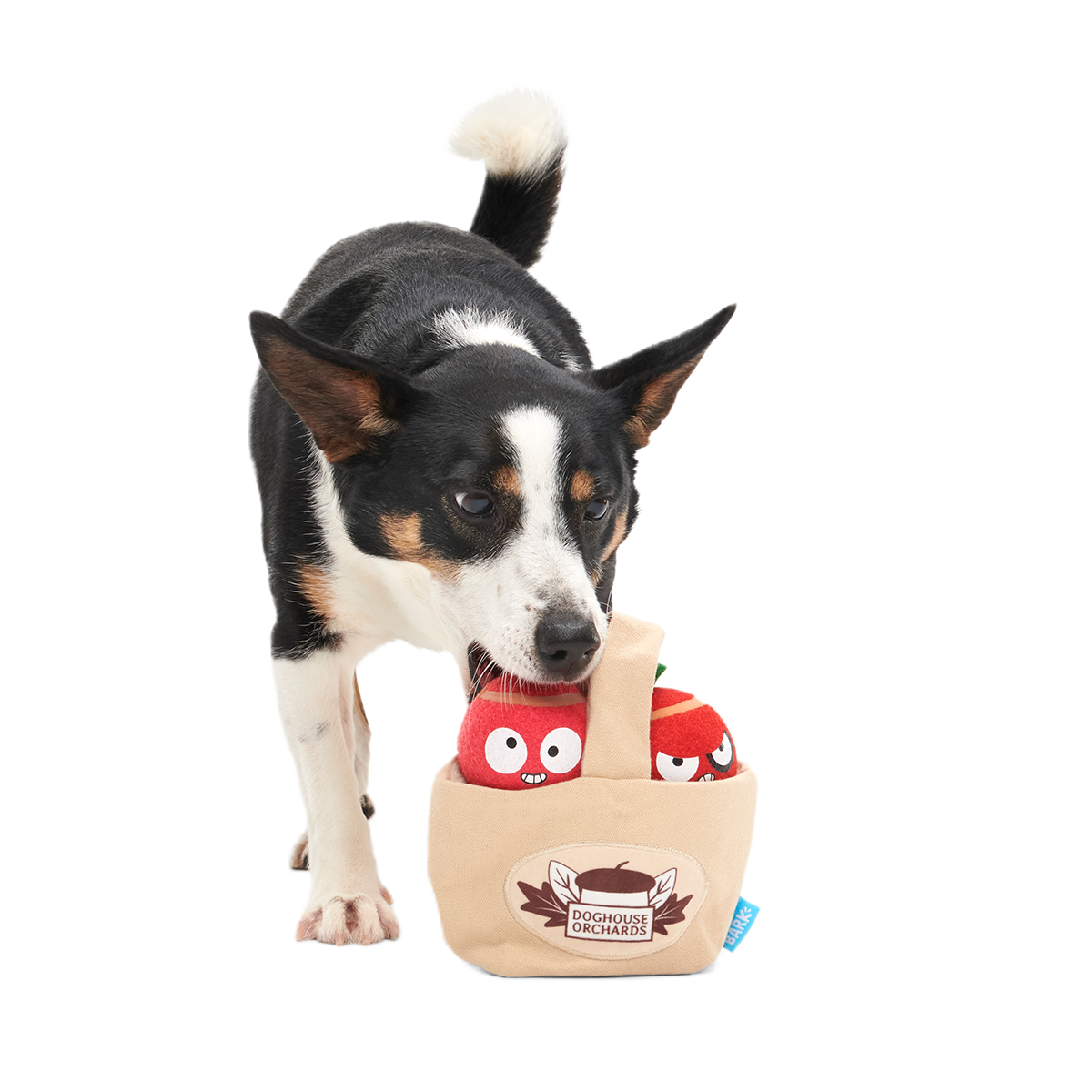 The Munch Bunch Plush Multi-Part + Enrichment + Fetch Dog Toy