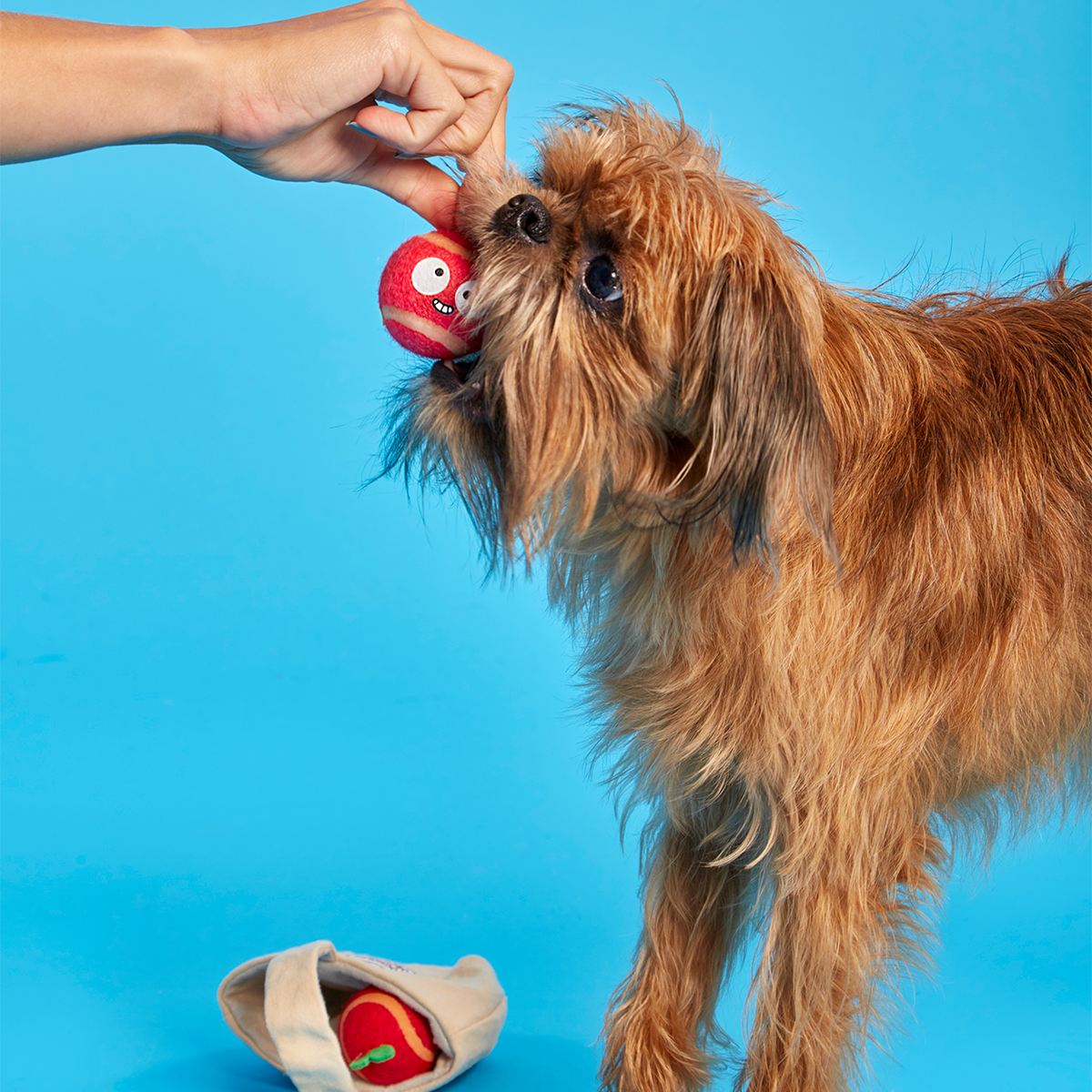 The Munch Bunch Plush Multi-Part + Enrichment + Fetch Dog Toy