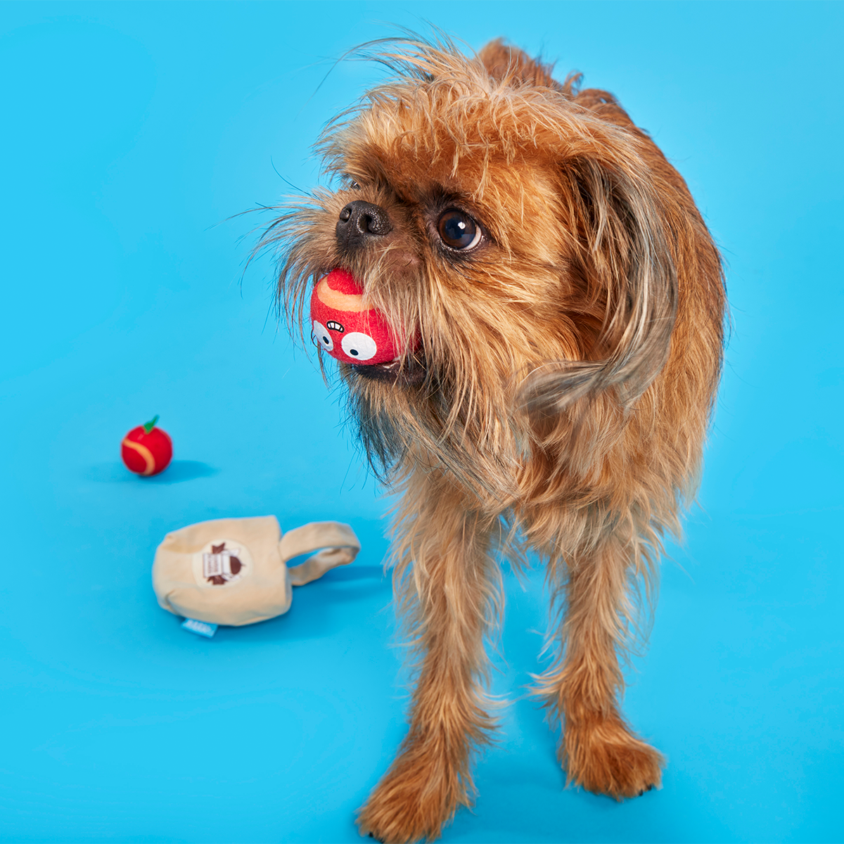 The Munch Bunch Plush Multi-Part + Enrichment + Fetch Dog Toy