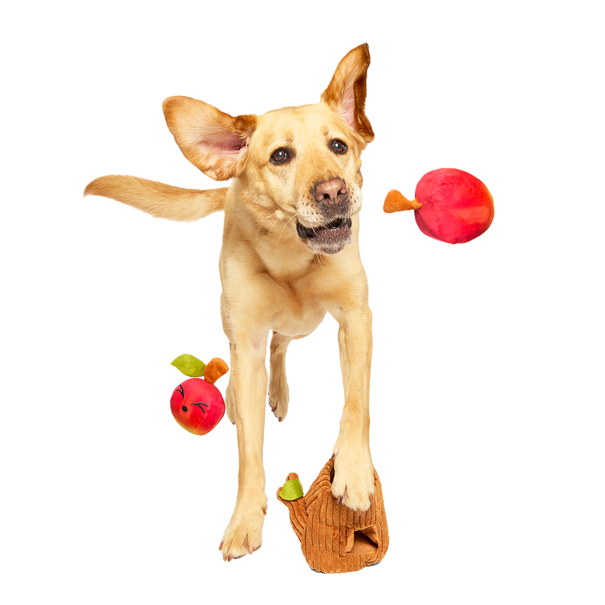 Them Apples Plush Multi-Part + Fetch + Enrichment Dog Toy