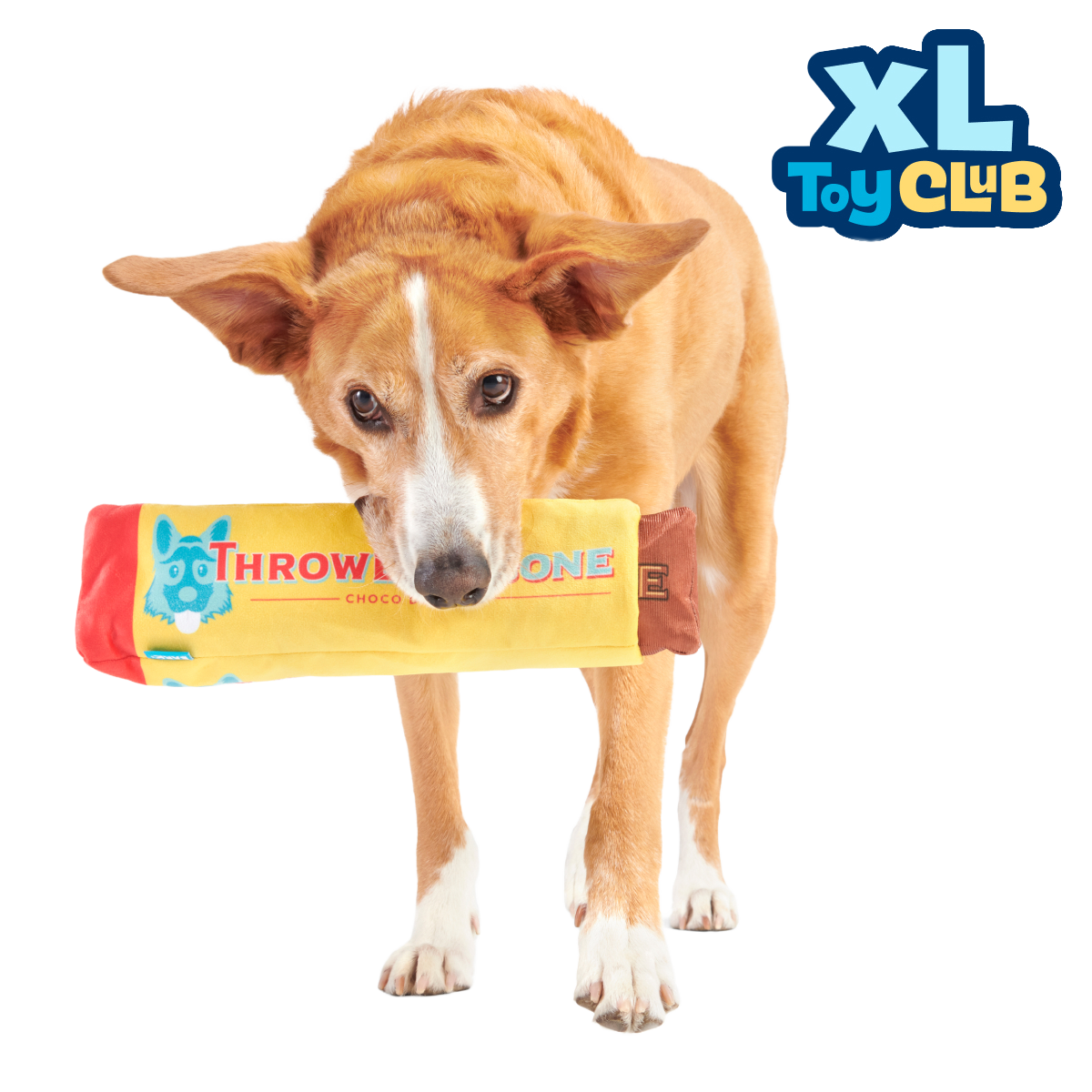 Extra-Large Toy Club, Monthly Plush XL Dog Toys