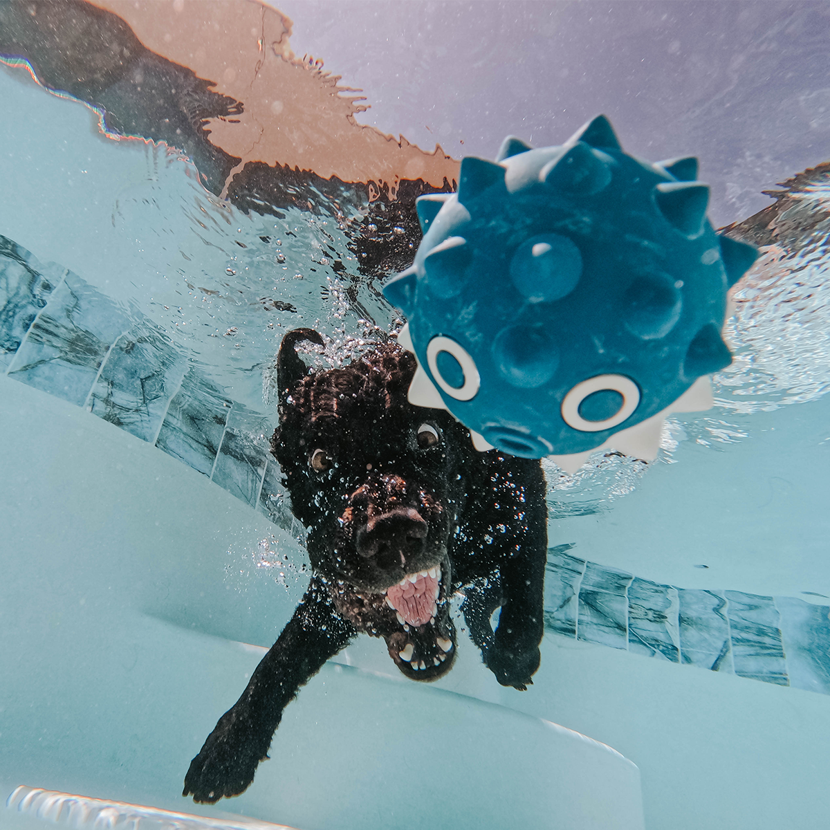 Throwfish Super Chewer Durable Fetch Dog Toy