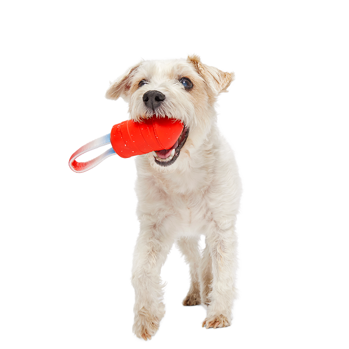 Throwman Candle Super Chewer Durable Tug Dog Toy