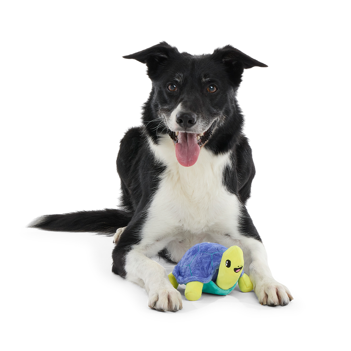 Tiago Tortuga Plush Tug Dog Toy