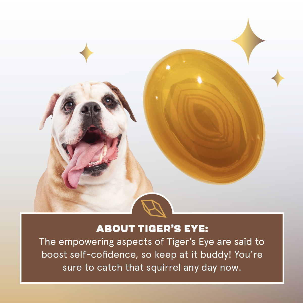 Crystal of the Month Club, Super Chewer Durable Monthly Dog Toys