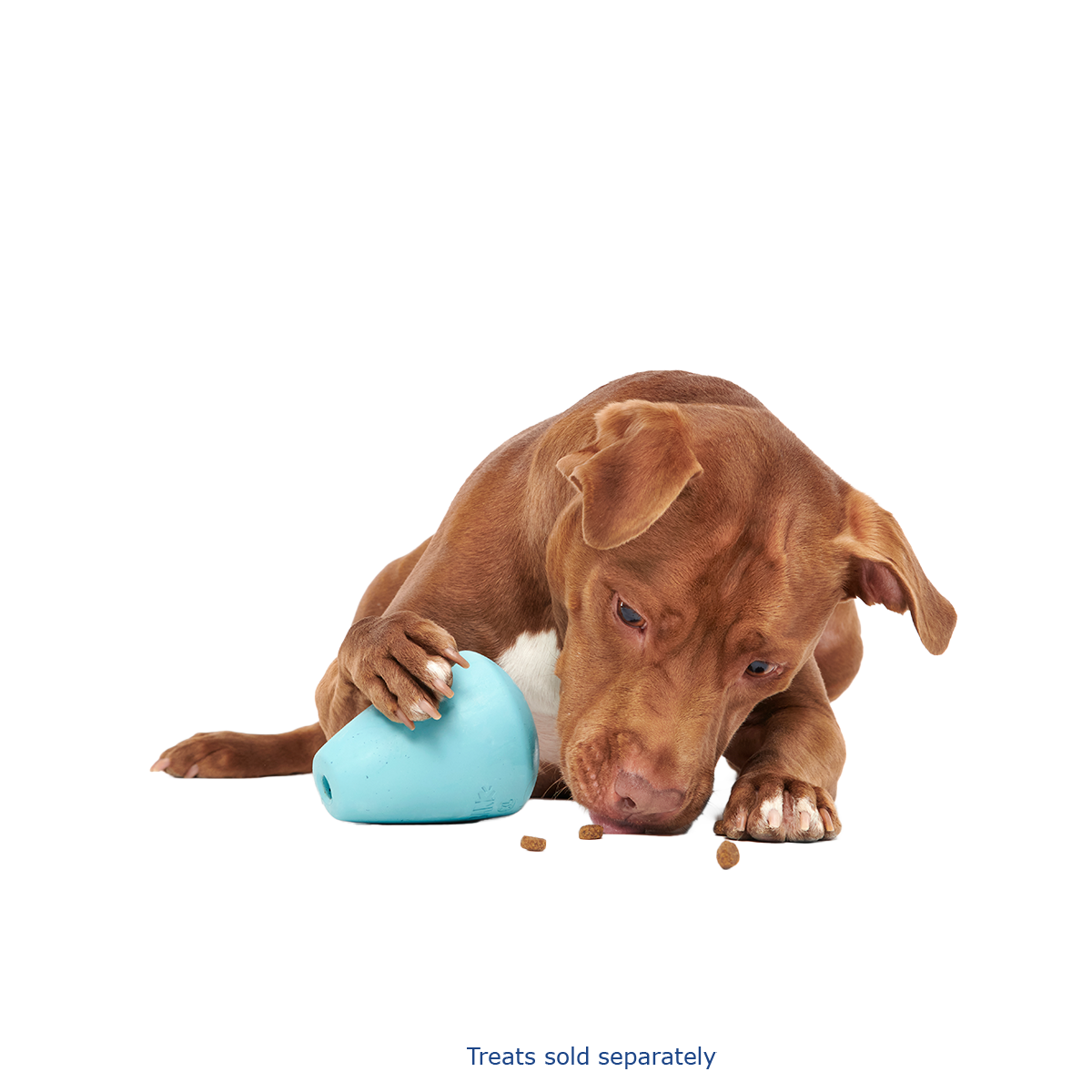 Titan Super Chewer Durable Enrichment Dog Toy