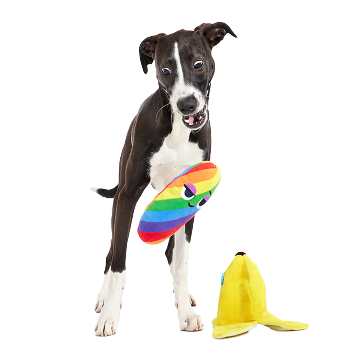 Top Banana Plush Multi-Part Dog Toy