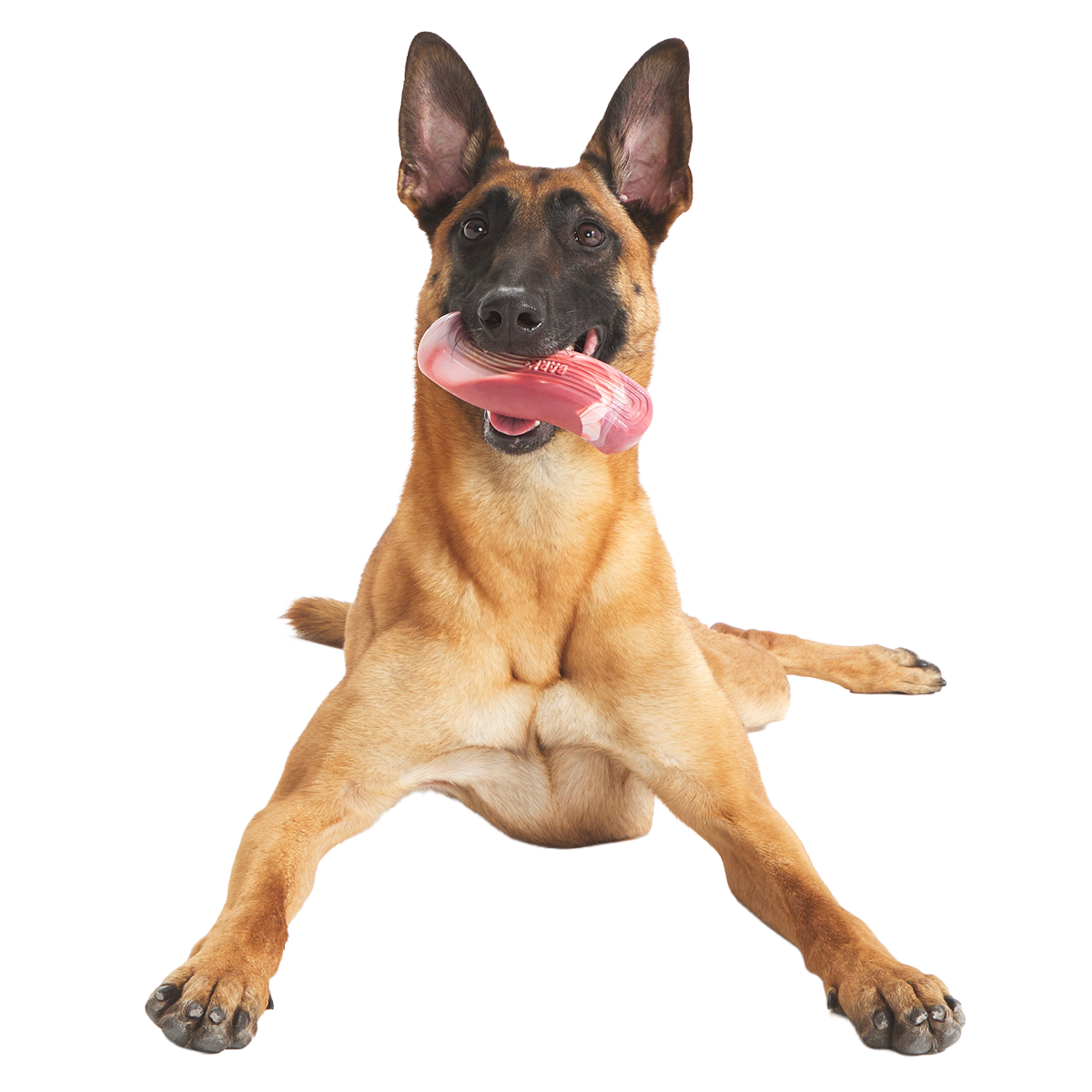 Tough Break Bacon Super Chewer Durable Gnaw Dog Toy