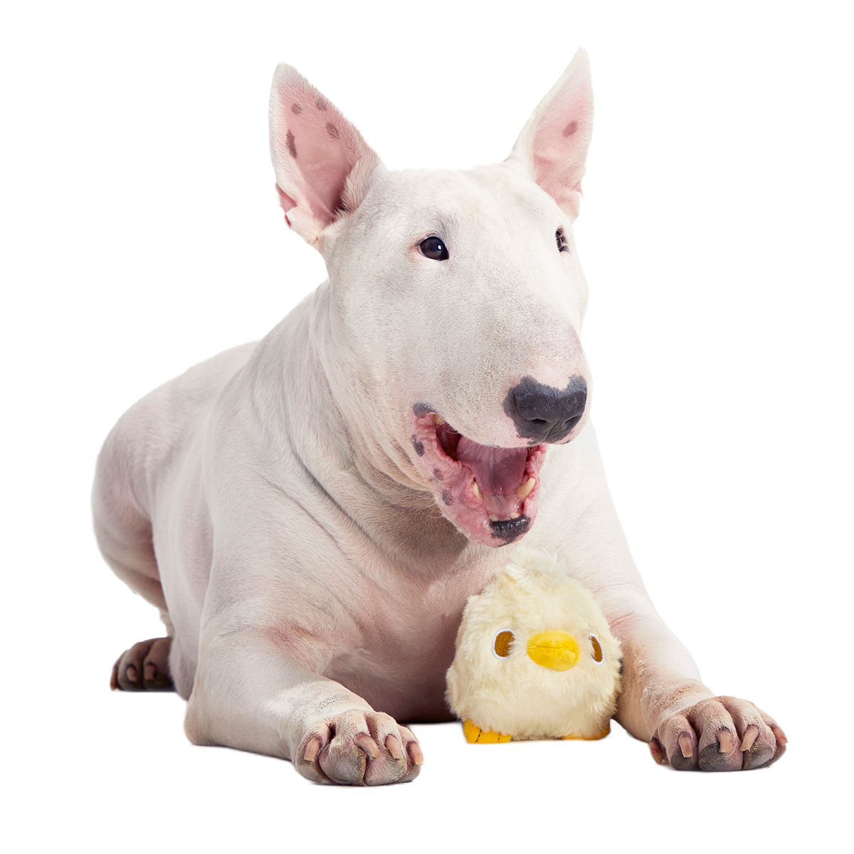 Tough Chick Super Chewer Durable 2-in-1 Dog Toy