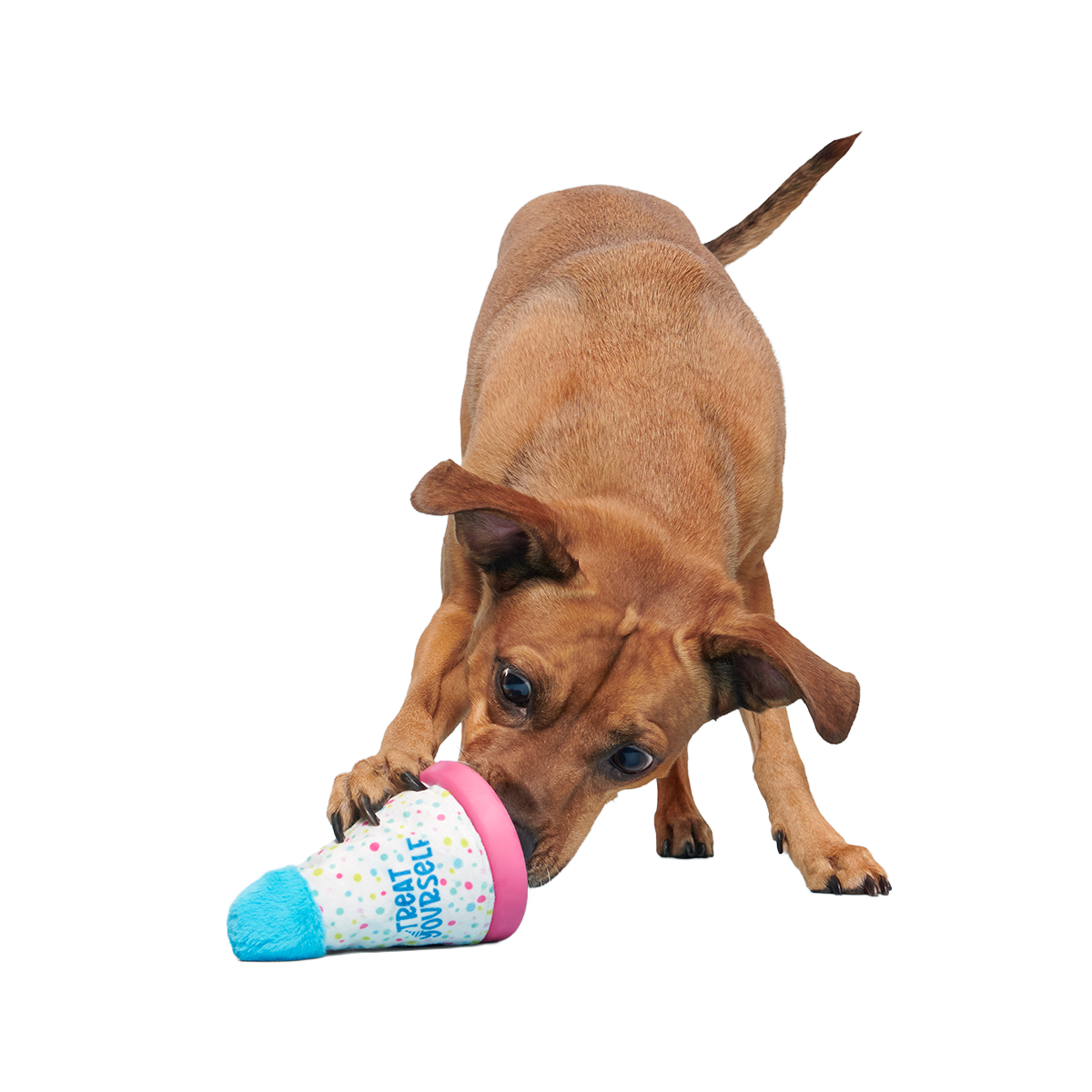 Treat Yourself Party Hat Super Chewer Durable 2-in-1 + Enrichment Dog Toy