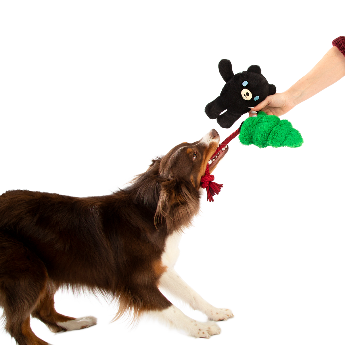 Tree Huggin’ Terry Plush Tug Dog Toy