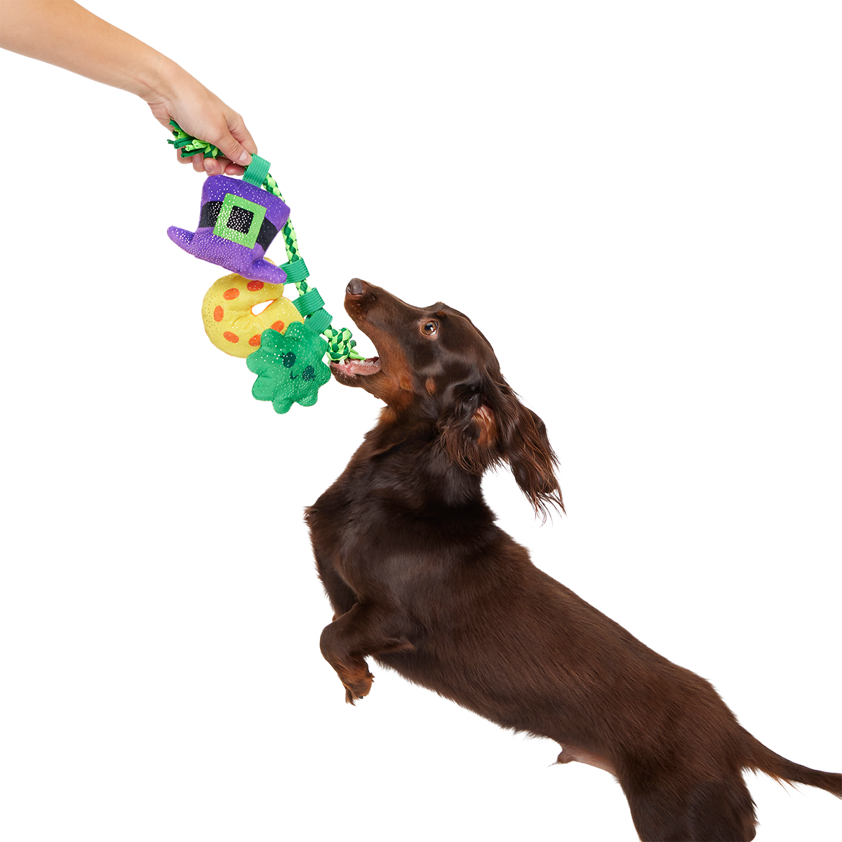 Tuggy Charms Plush Tug Dog Toy