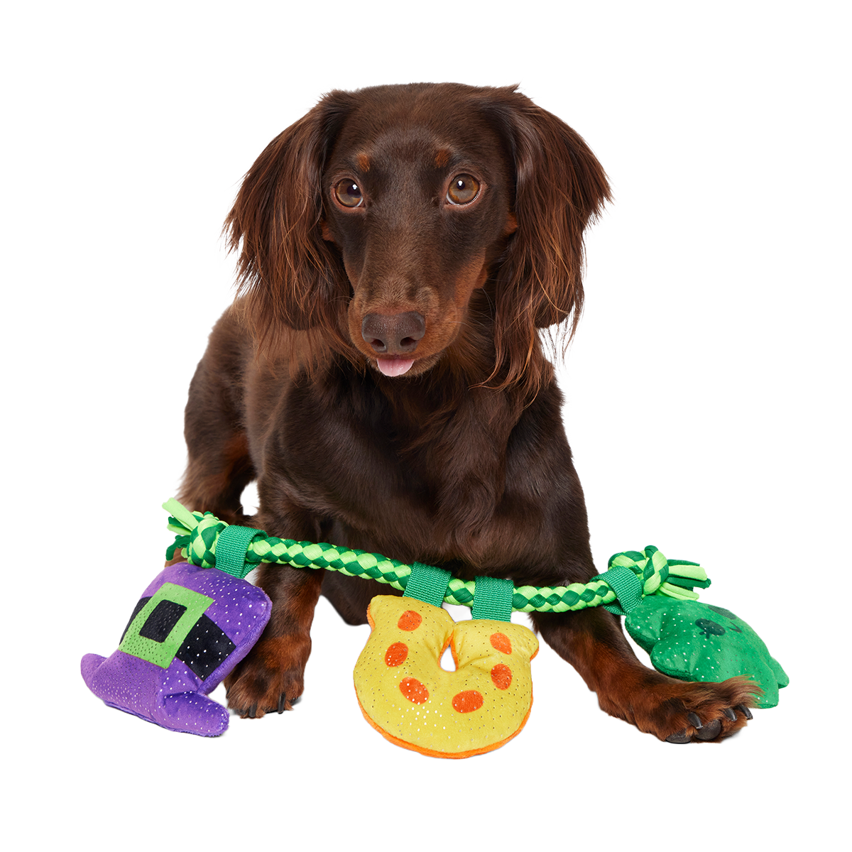Tuggy Charms Plush Tug Dog Toy