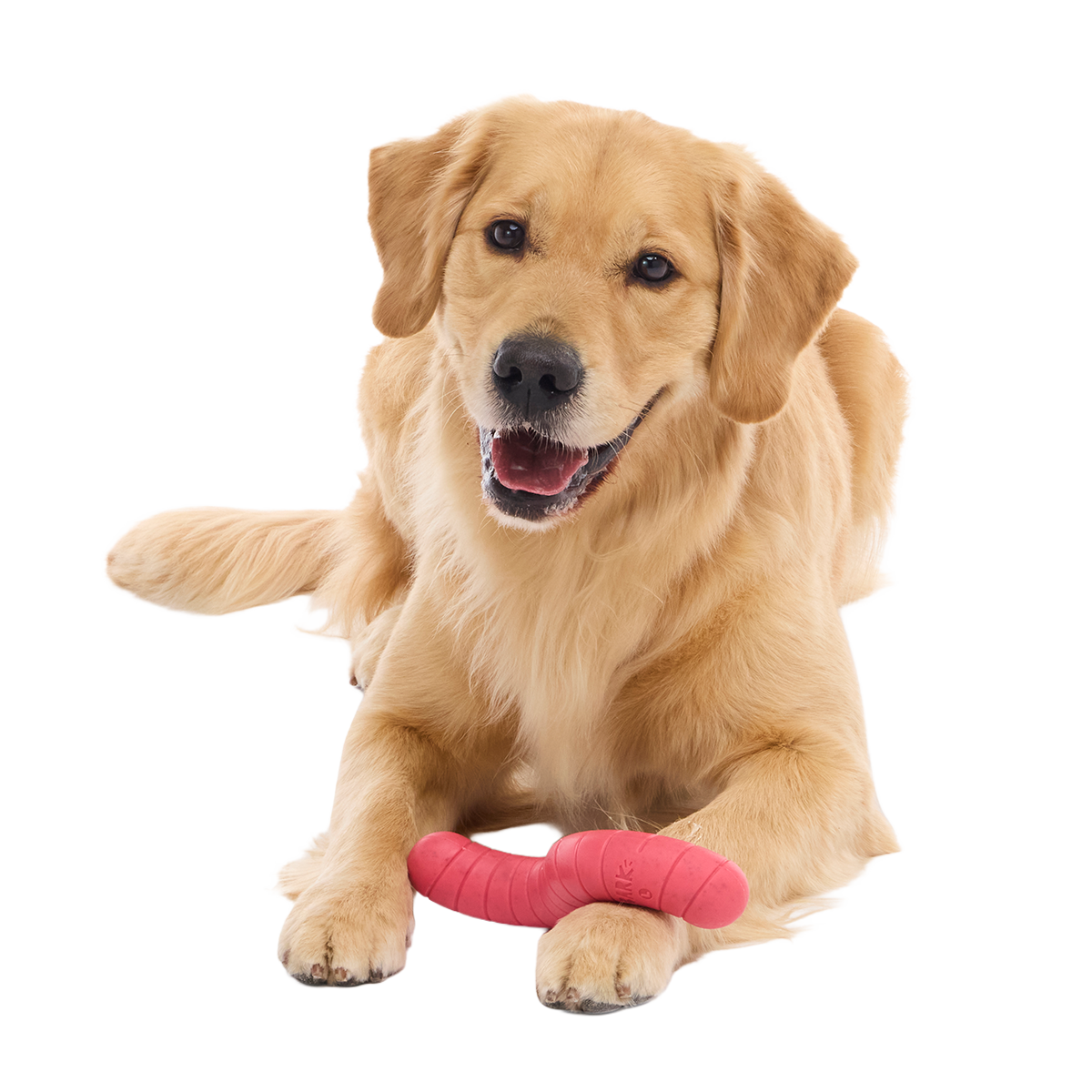Turf Worm Super Chewer Durable Gnaw Dog Toy