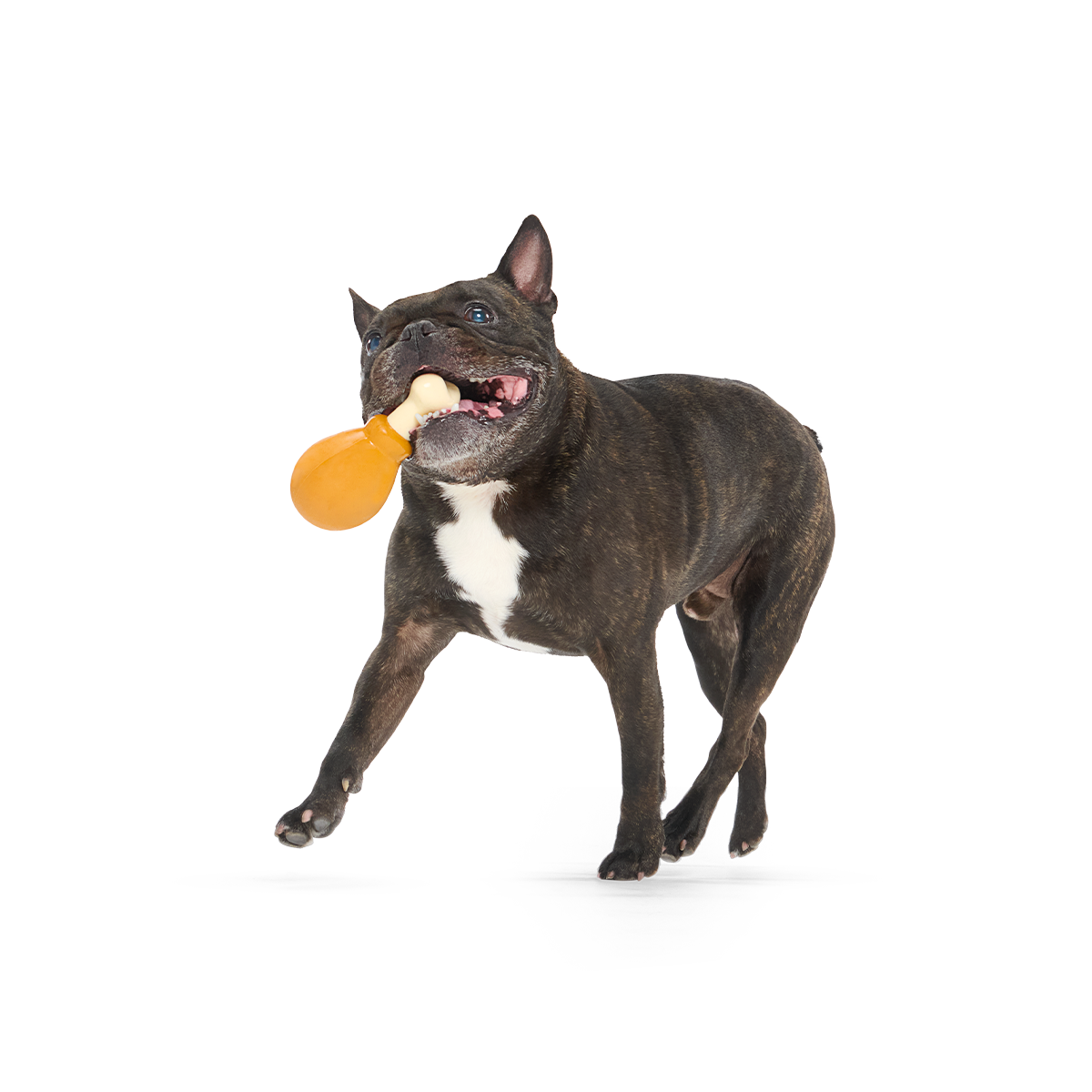 Turkey Day Drumstick Super Chewer Durable Gnaw Dog Toy