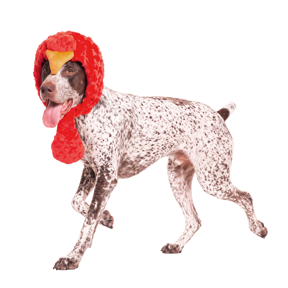 Turkey Lurker Dog Hat