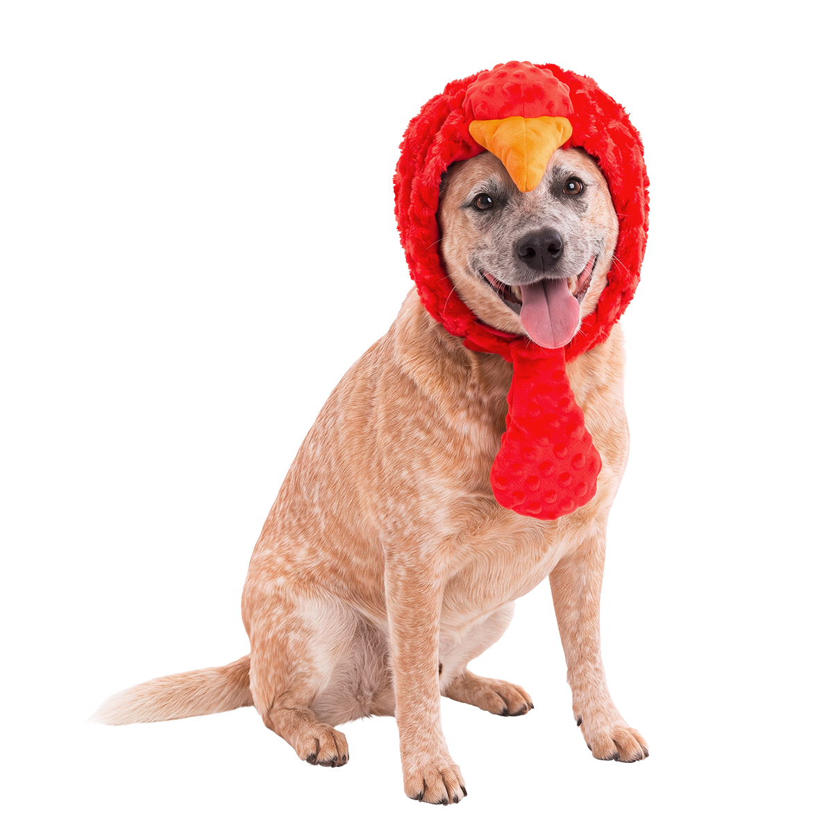 Turkey Lurker Dog Hat