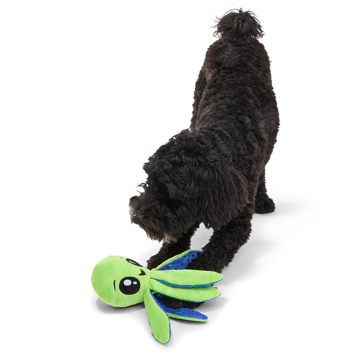 Ollie the Octopus Club, Plush Tug Monthly Dog Toys