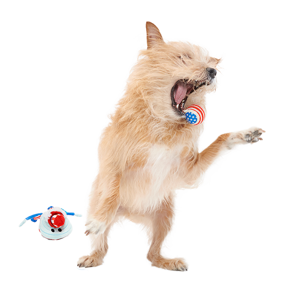 Uncle Clam Plush Multi-Part + Fetch Dog Toy