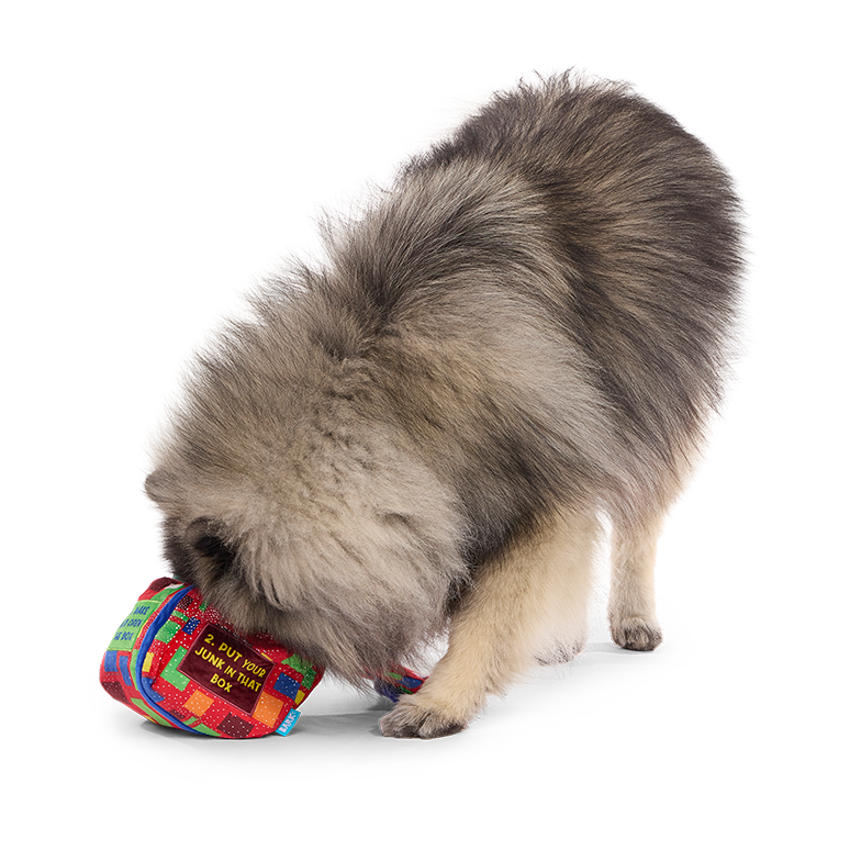 Saturday Night Live: Duck in A Box