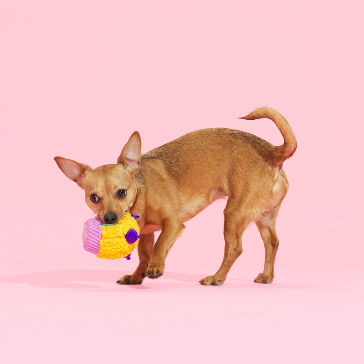 Stuffin' Muffin Plush Fetch Dog Toy
