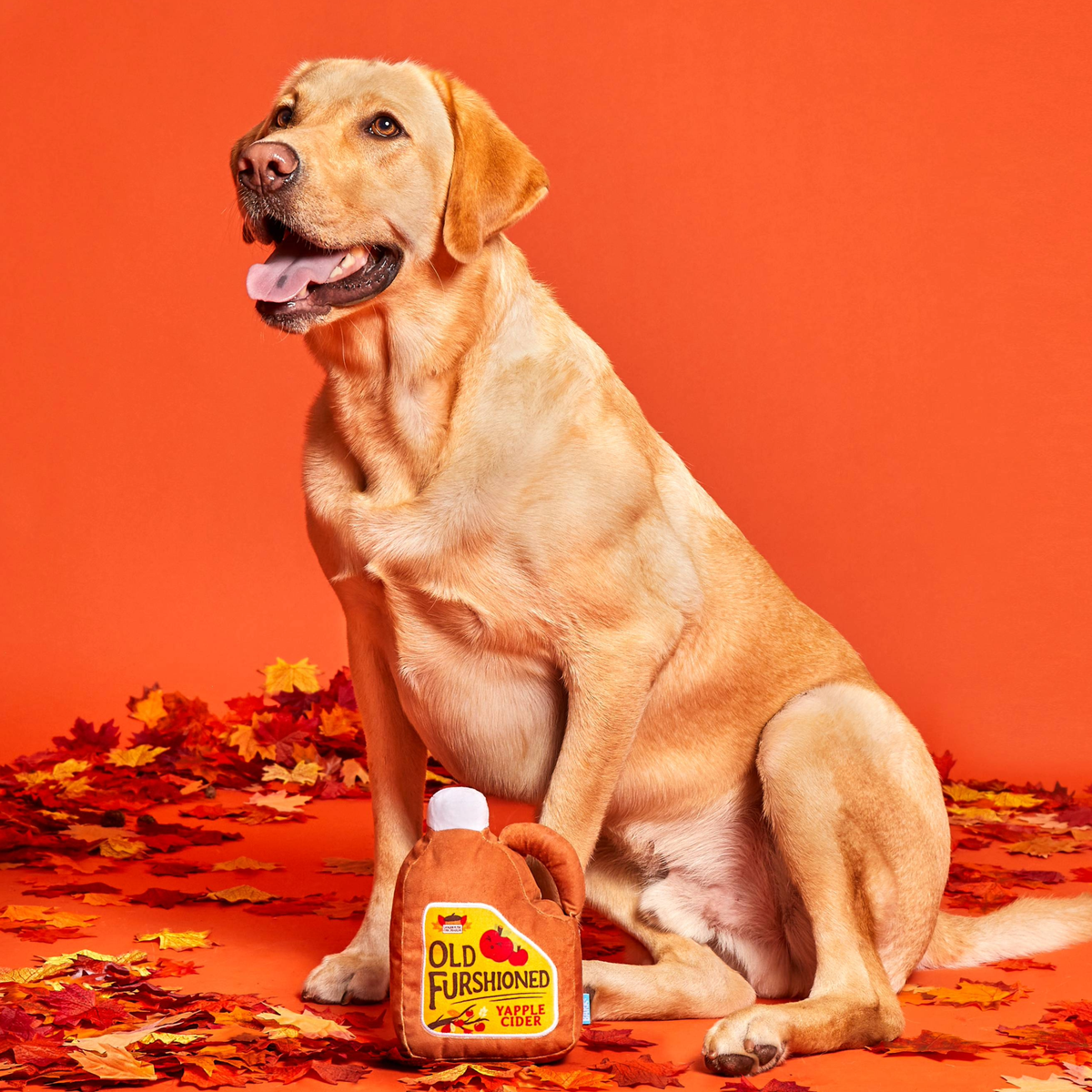 Old Furshioned Yapple cider