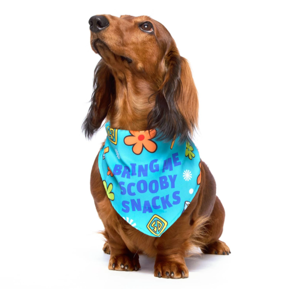 Scooby™ Snacks Bandana
