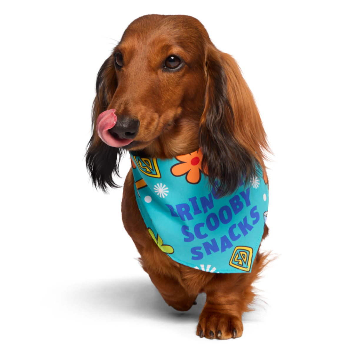 Scooby™ Snacks Bandana