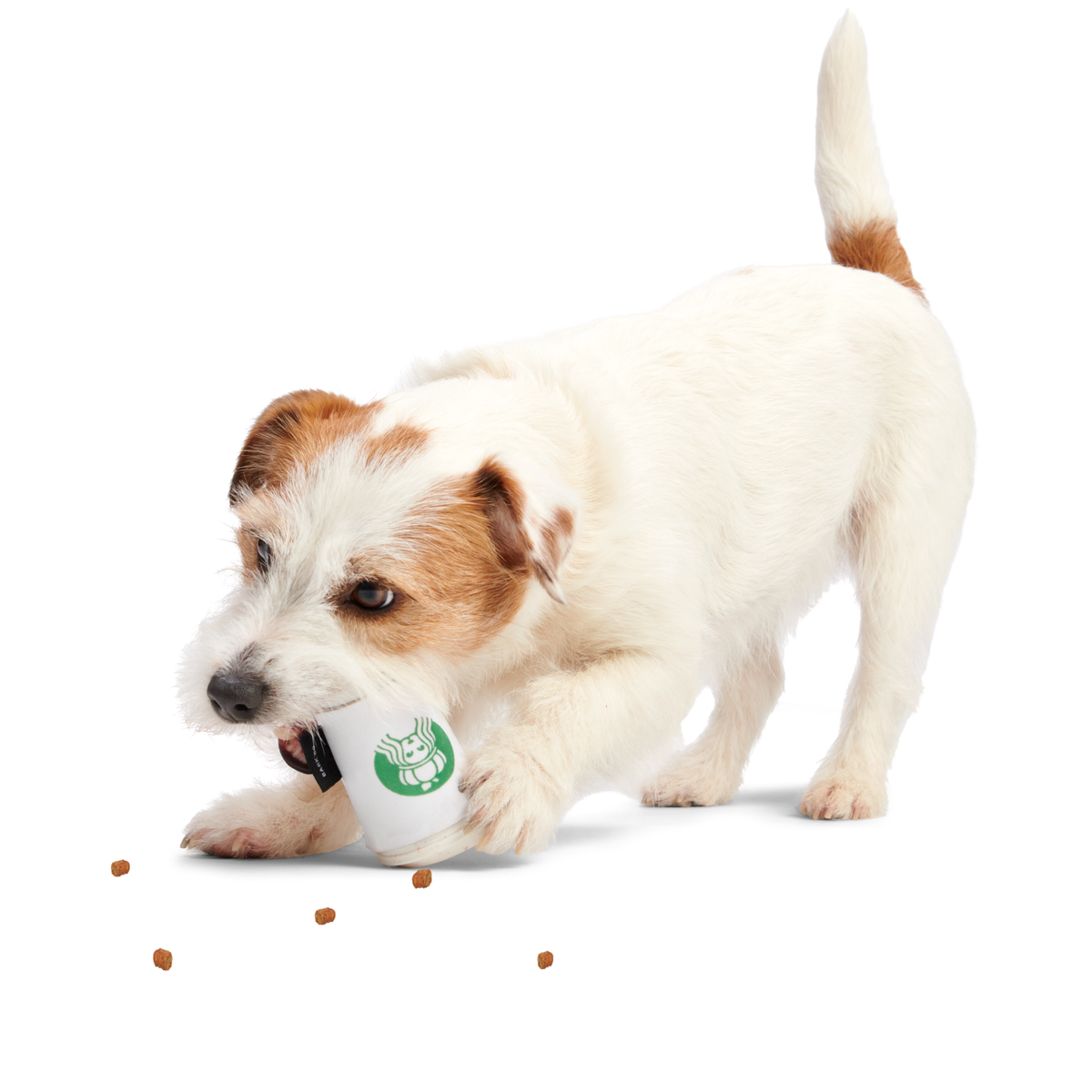 Pupkin Spice Yappuccino