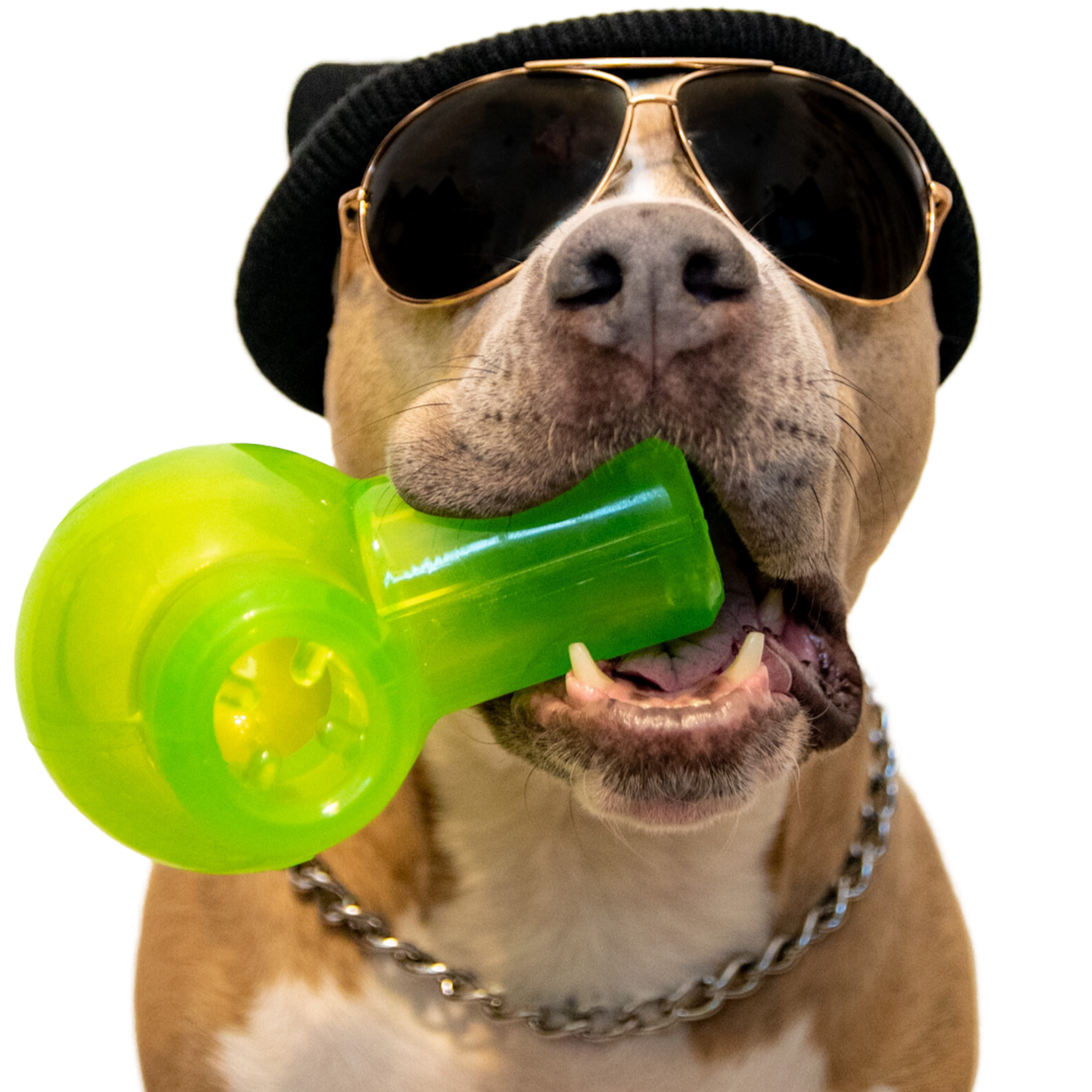 Snack Packed Bong Treat Hiding Tough Super Chewer Dog Toy