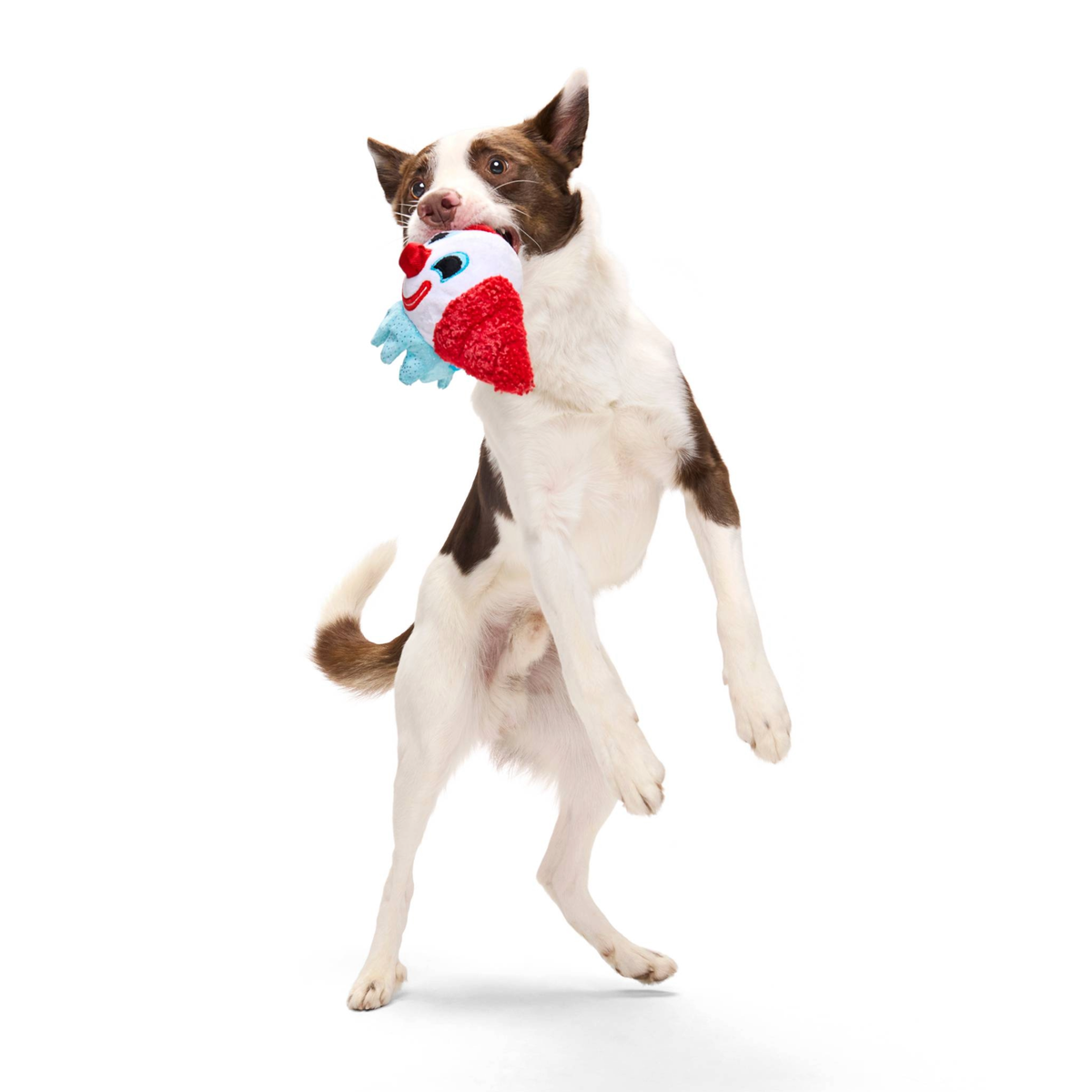 Down To Clown Bundle