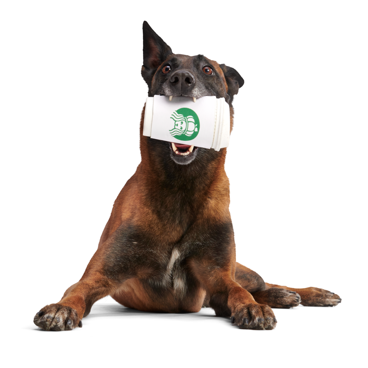 Pupkin Spice Yappuccino