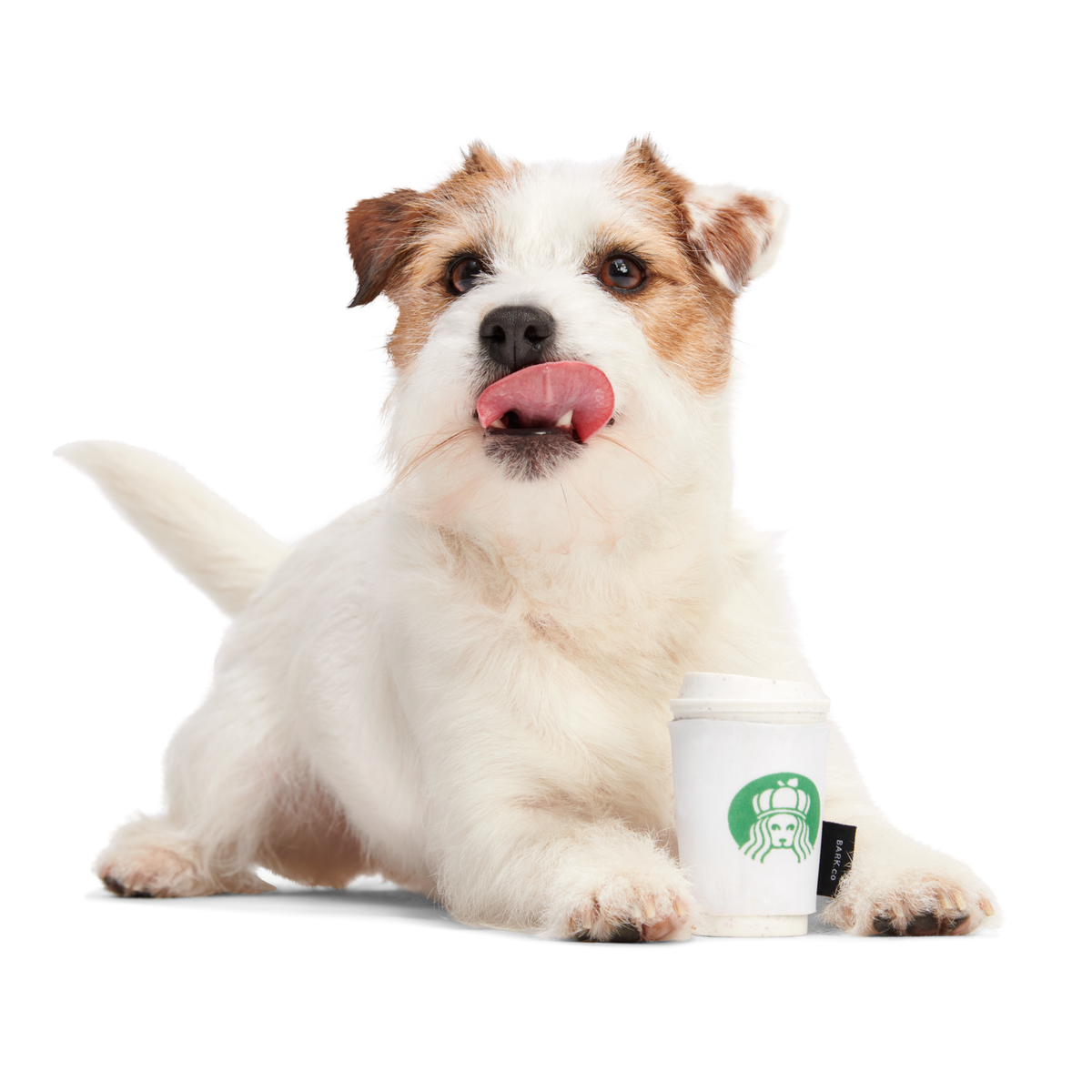 Pupkin Spice Yappuccino