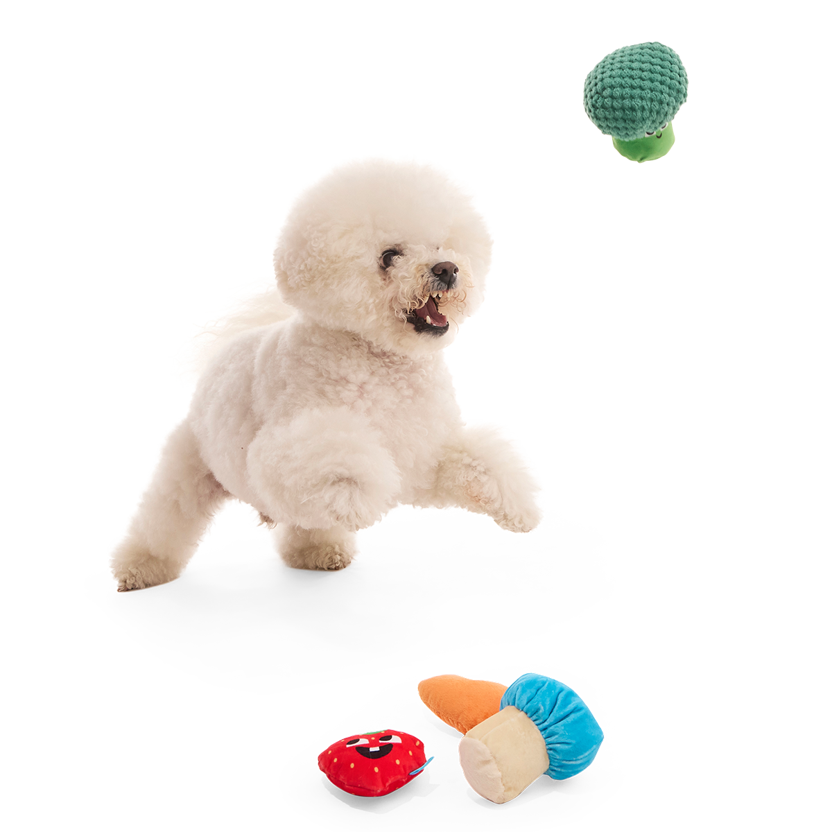 Veggie Patch Pals Plush Multi-Part Dog Toy