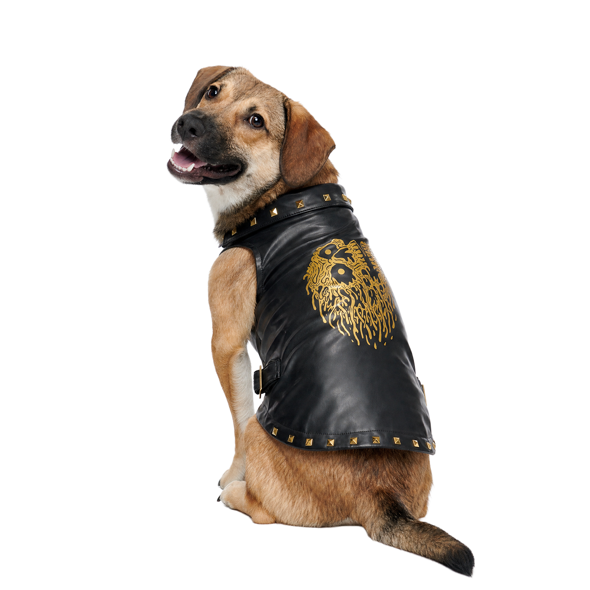 Vest in Peace Dog Vest#Size_S