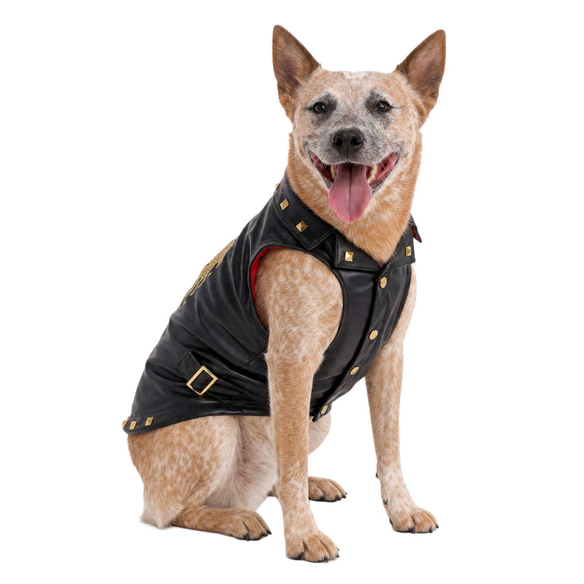 Vest in Peace Dog Vest#Size_M